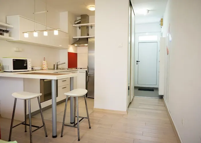 Apartment Studio Goga *
